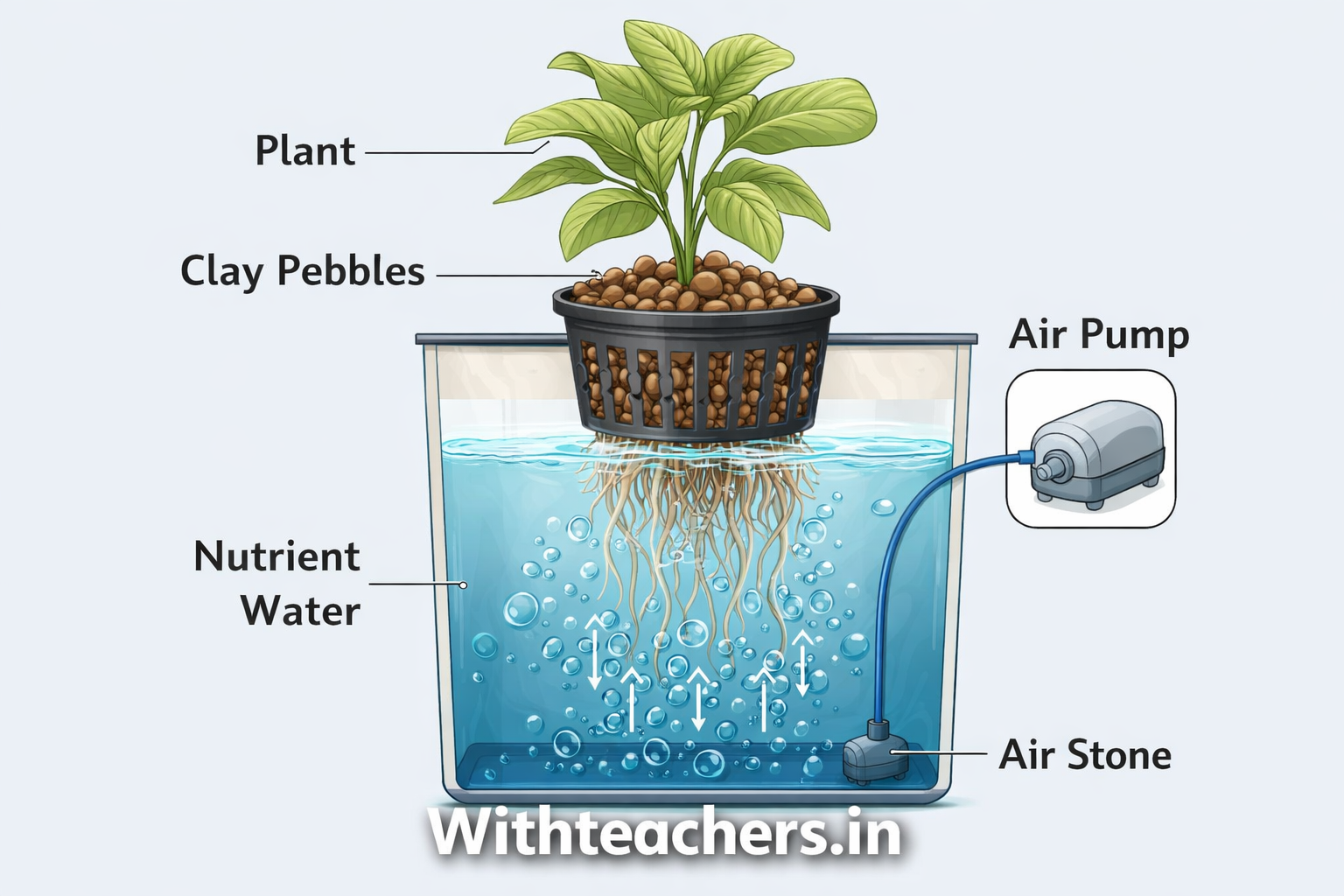 Hydroponic DWC system diagram